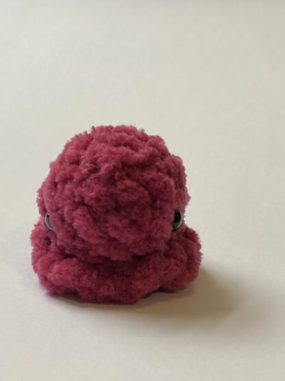 Tiny Octopus - Image 7